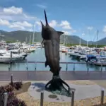 Things to do in Cairns Australia What are the best things to do in Cairns