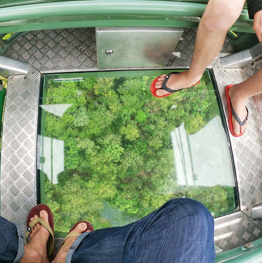 Things to do in Cairns take the Skyrail cable car from Cairns to Kuranda