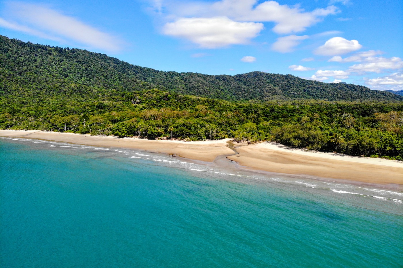 Visit the Daintree and Cape Tribulation from Port Douglas