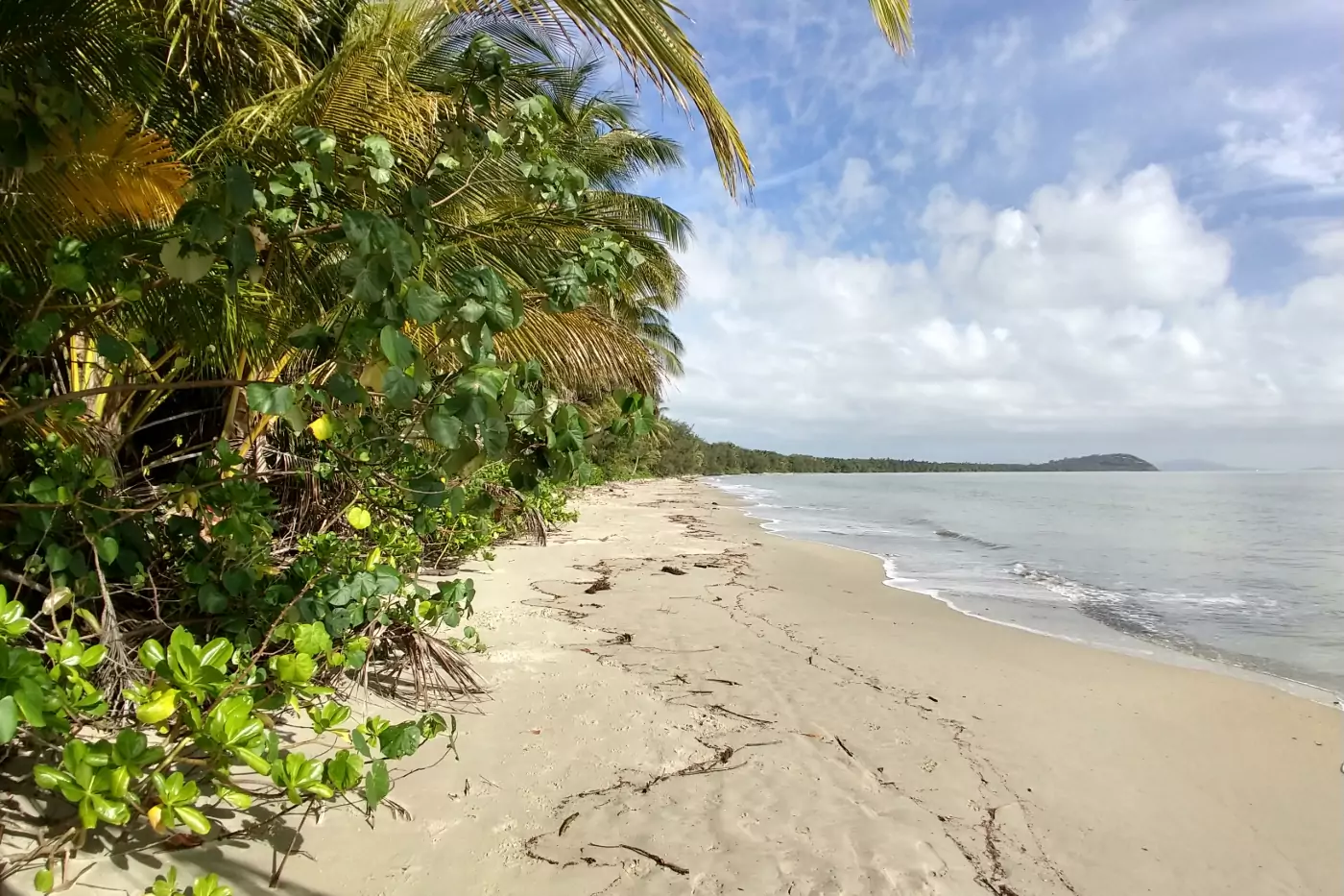 Port Douglas Australia planning a trip