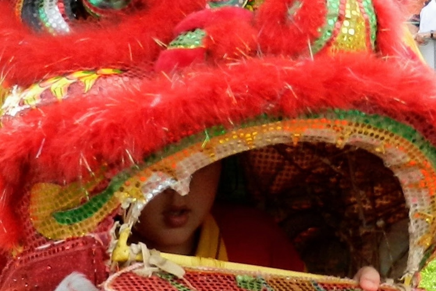 Lunar New Year in Cairns