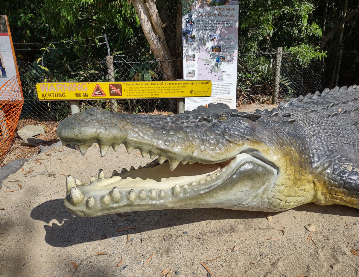 Port Douglas crocodile show croc