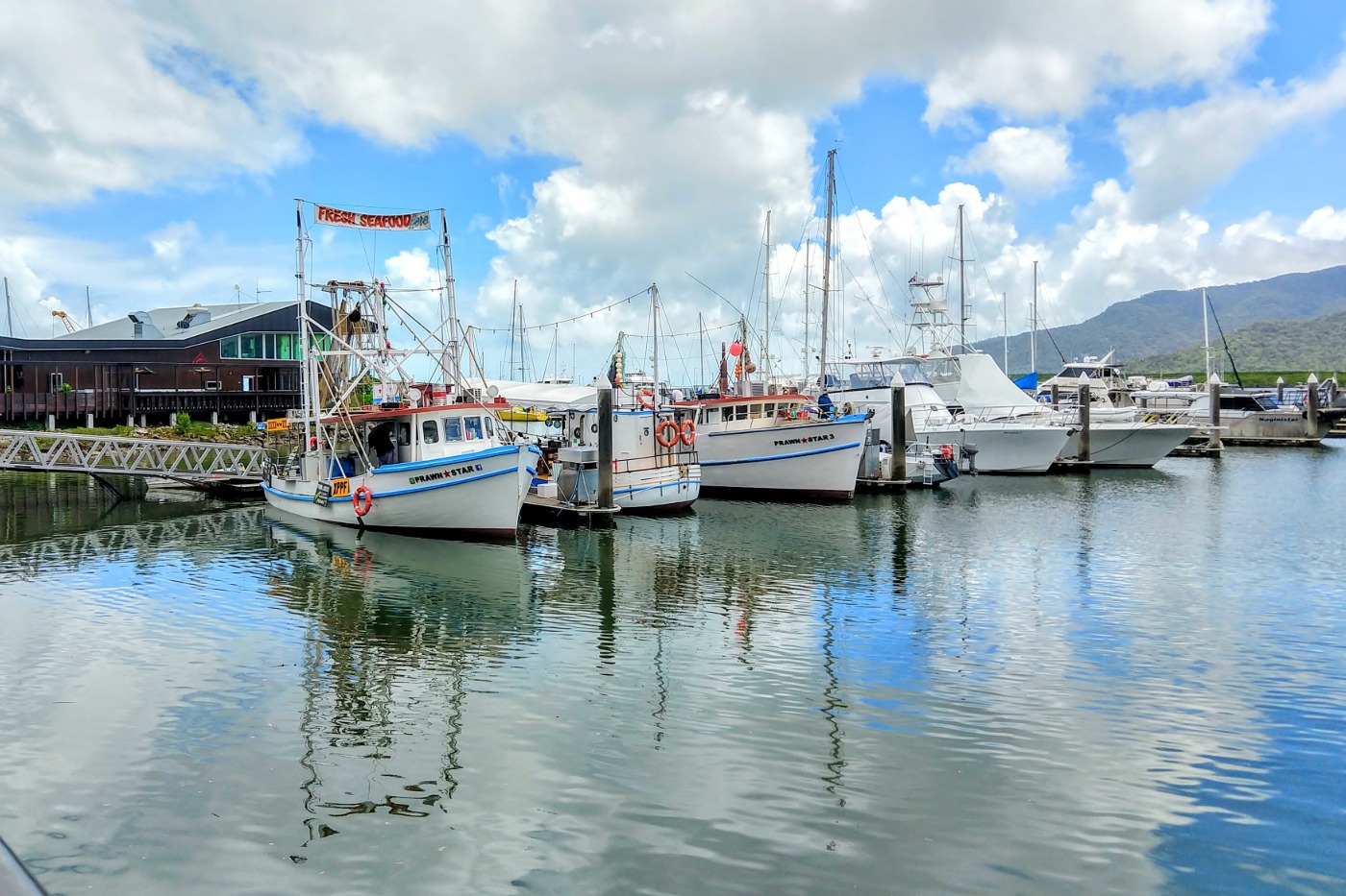 January in Cairns