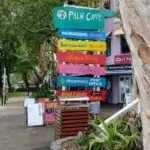 Palm Cove to Port Douglas palm cove to port douglas road