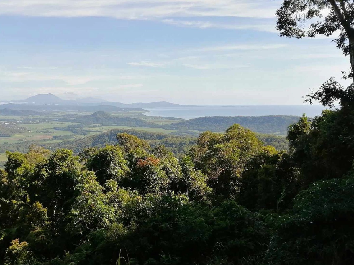 Cairns January