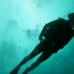 scuba diving from port douglas australia