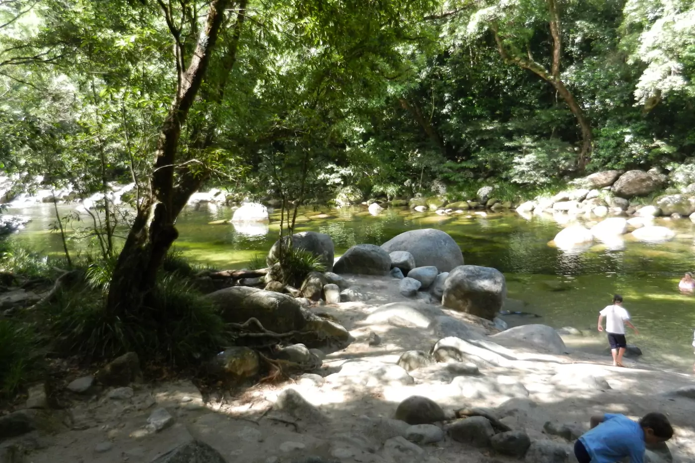mossman Gorge Daintree (1)