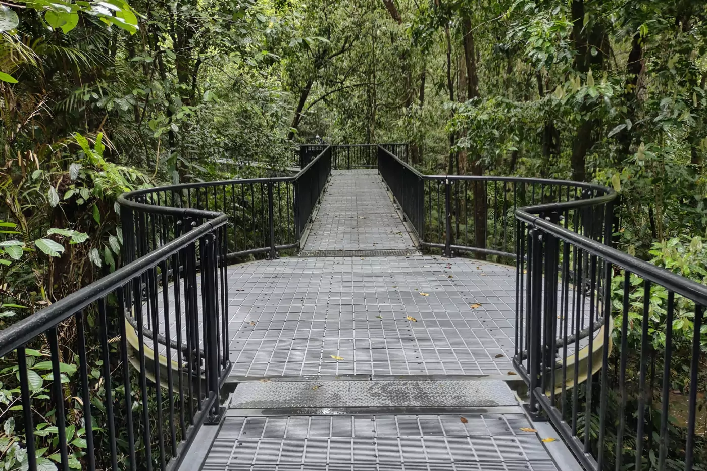 Mossman Gorge Walks Port Douglas Walks Mossman Gorge walking track