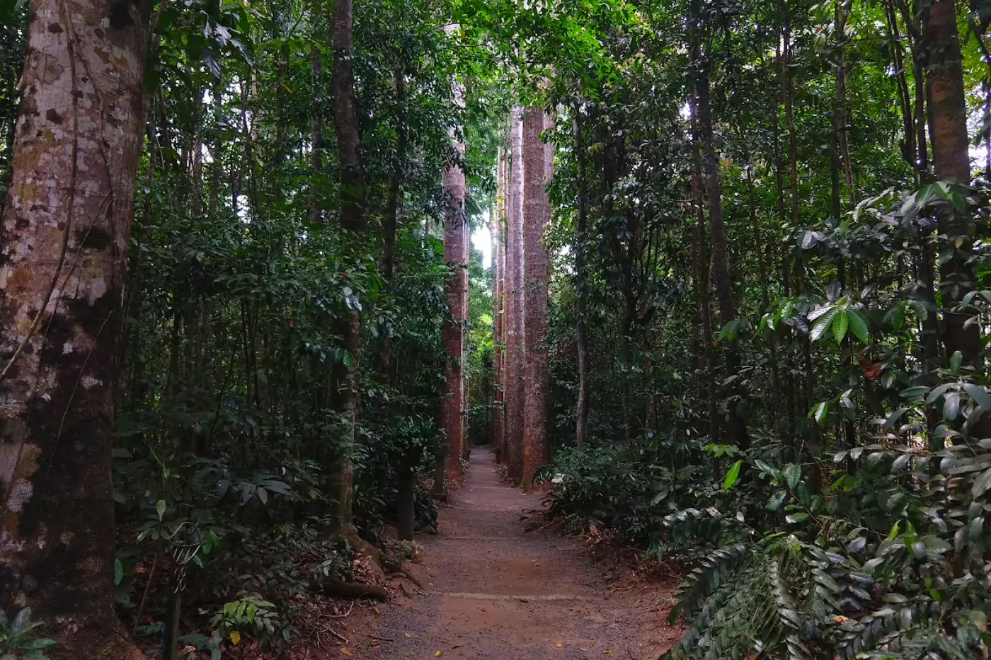 Paronella-Park-Garden
