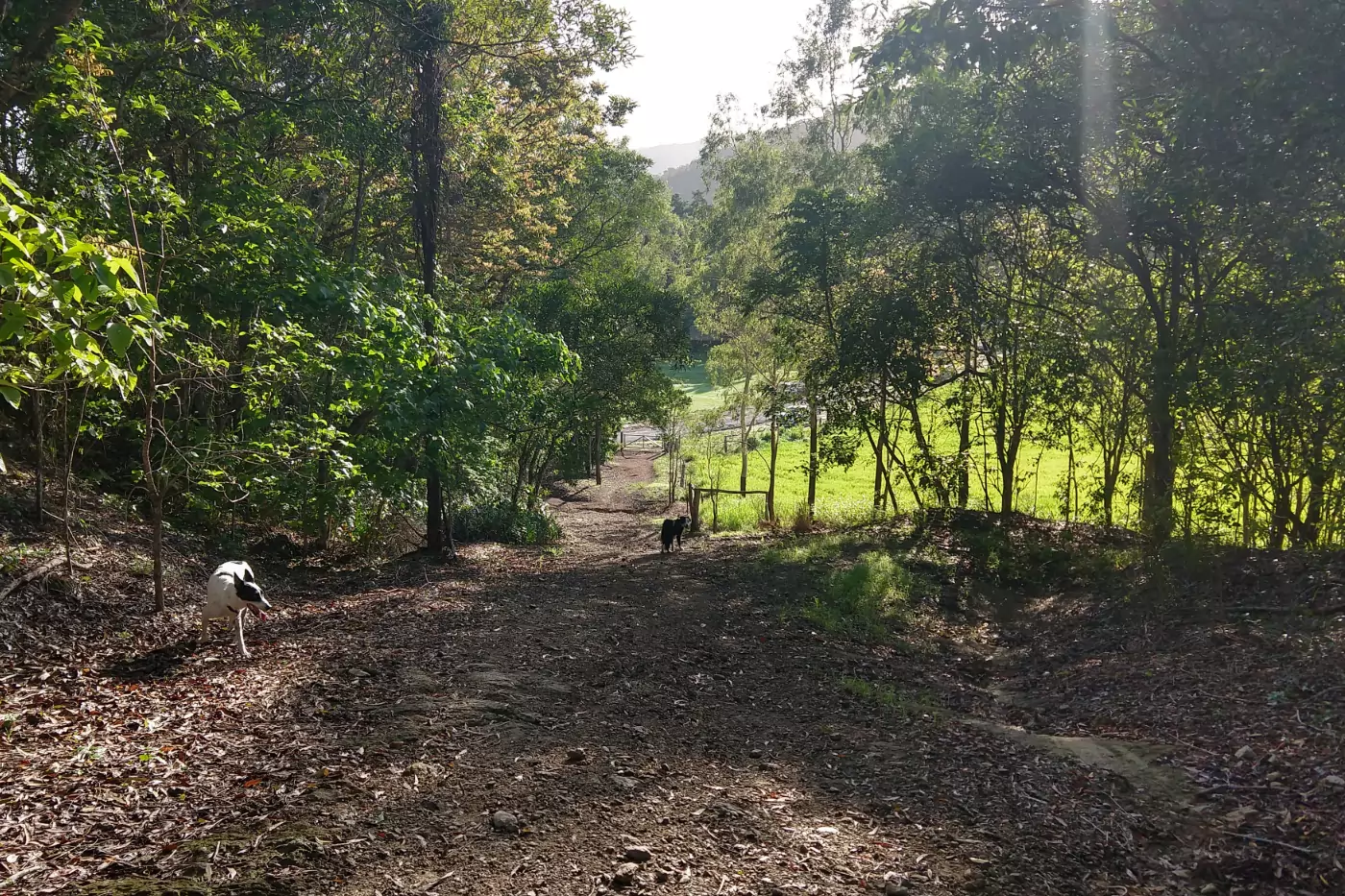 Port Douglas hike