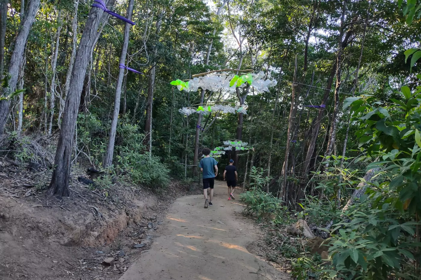 flagstaff Hill Walk Port Douglas