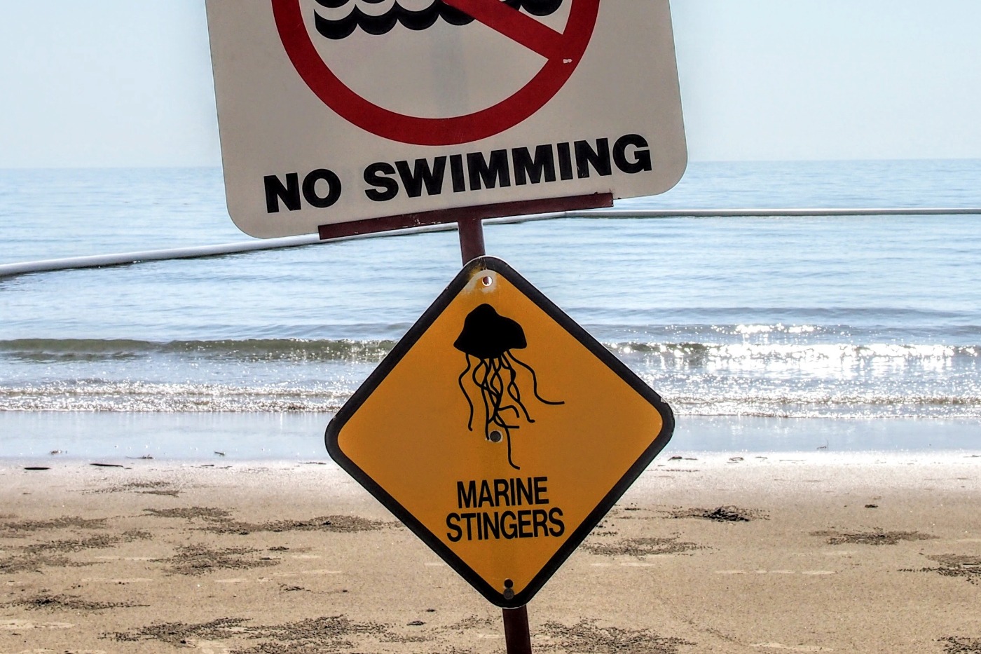 Beach closed marine stingers sign