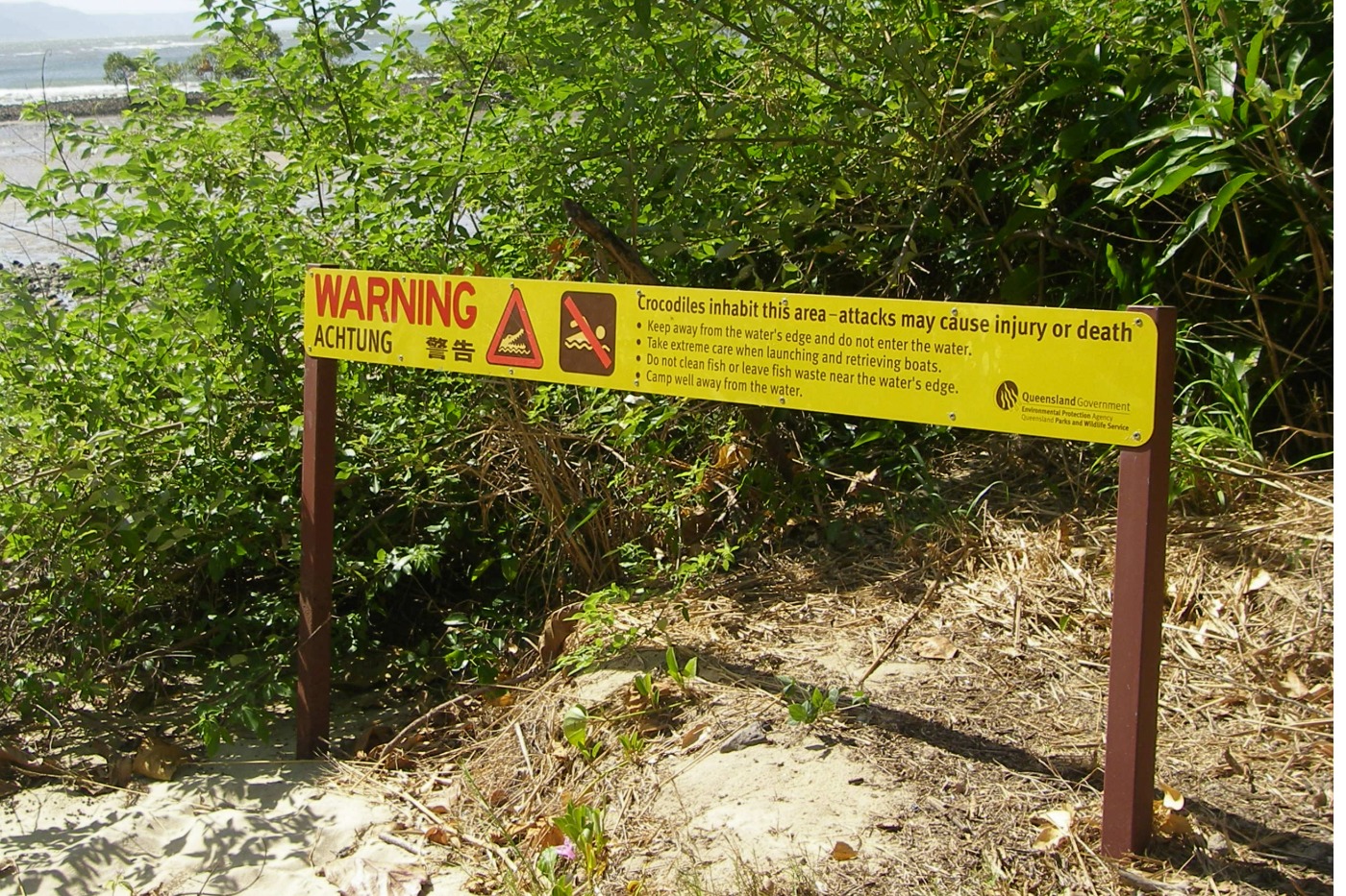 Port Douglas crocodile warning