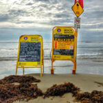 Beach closed by marine stingers Port Douglas Australia
