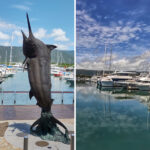 Port Douglas vs Cairns photos