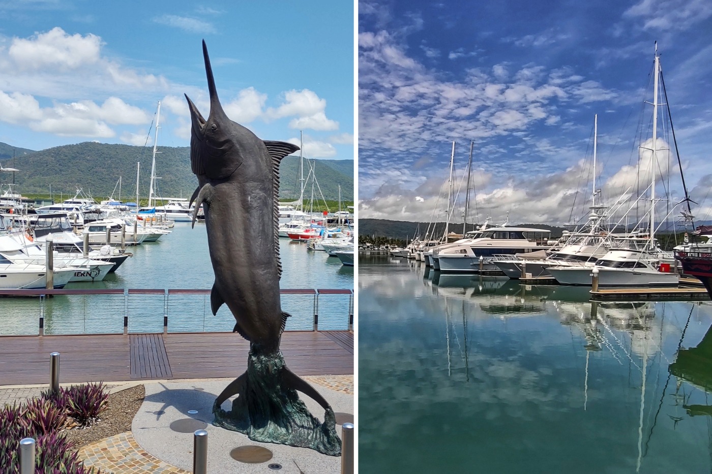 Port Douglas vs Cairns photos