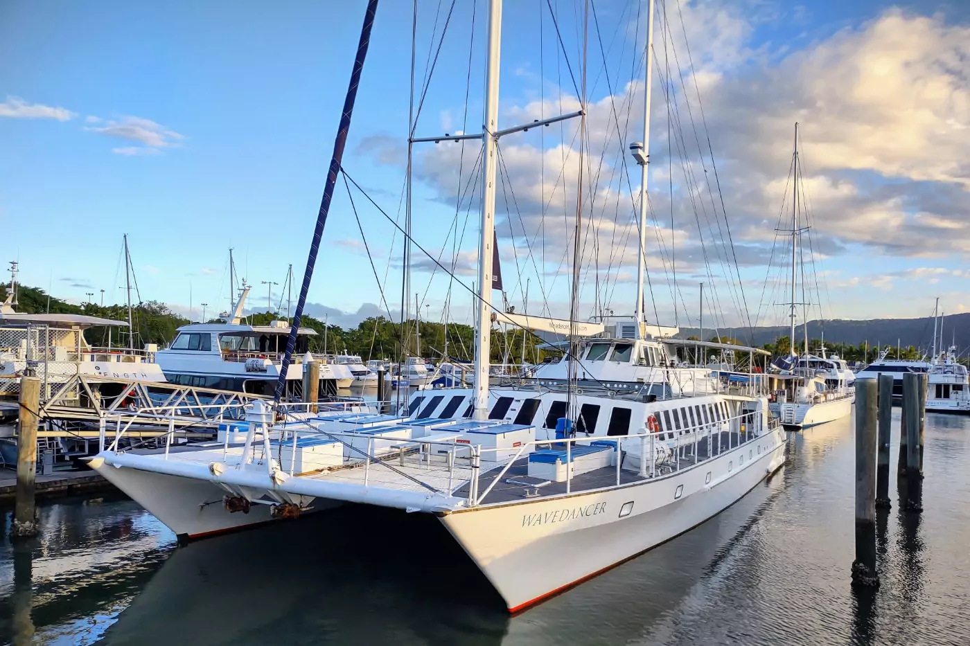 Wavedancer Port Douglas