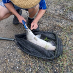 hook a barra barramundi farm near port douglas