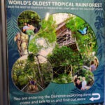 The Daintree Discovery Centre