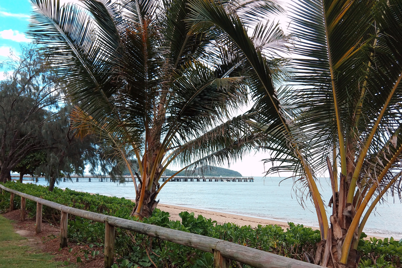 Palm cove beach qld