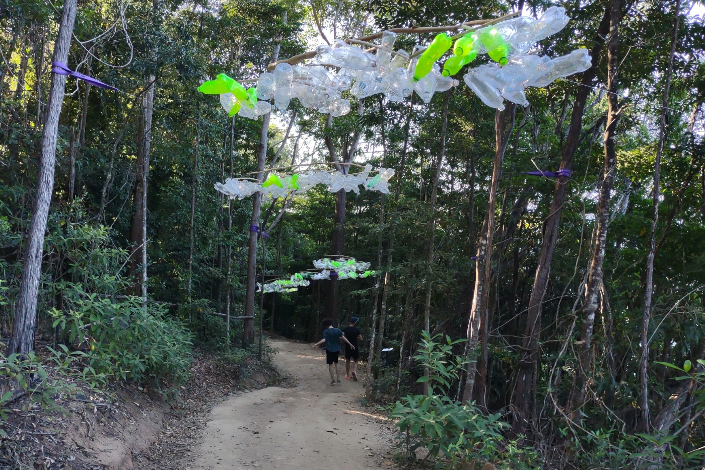 Mosquito areas in Port Douglas