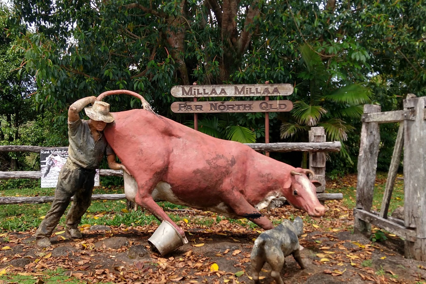 Millaa Milla Country Australia Tablelands