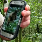 wifi and phone coverage Port Douglas Australia