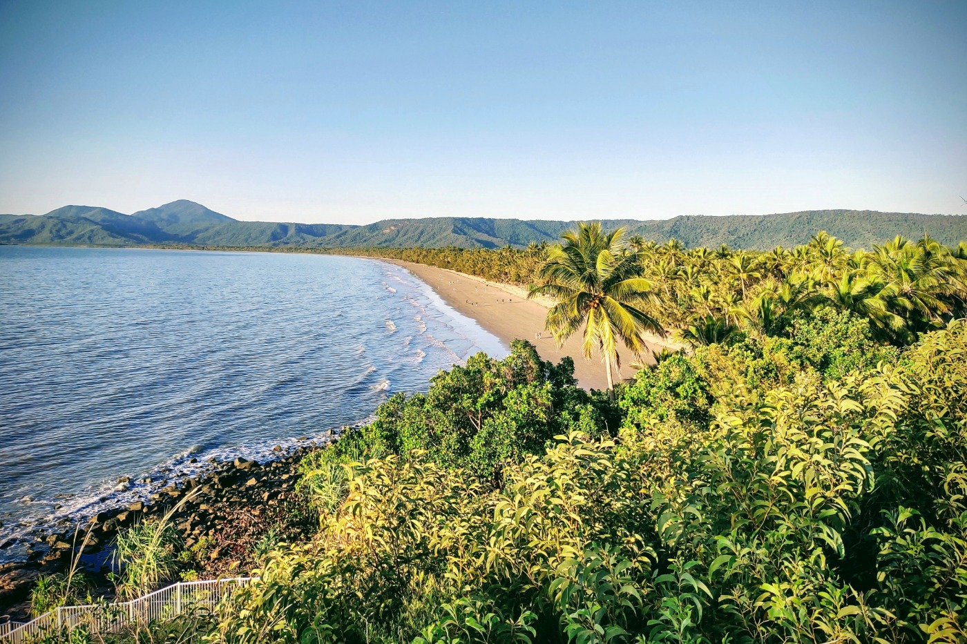 Mosquitos in Port Douglas beach