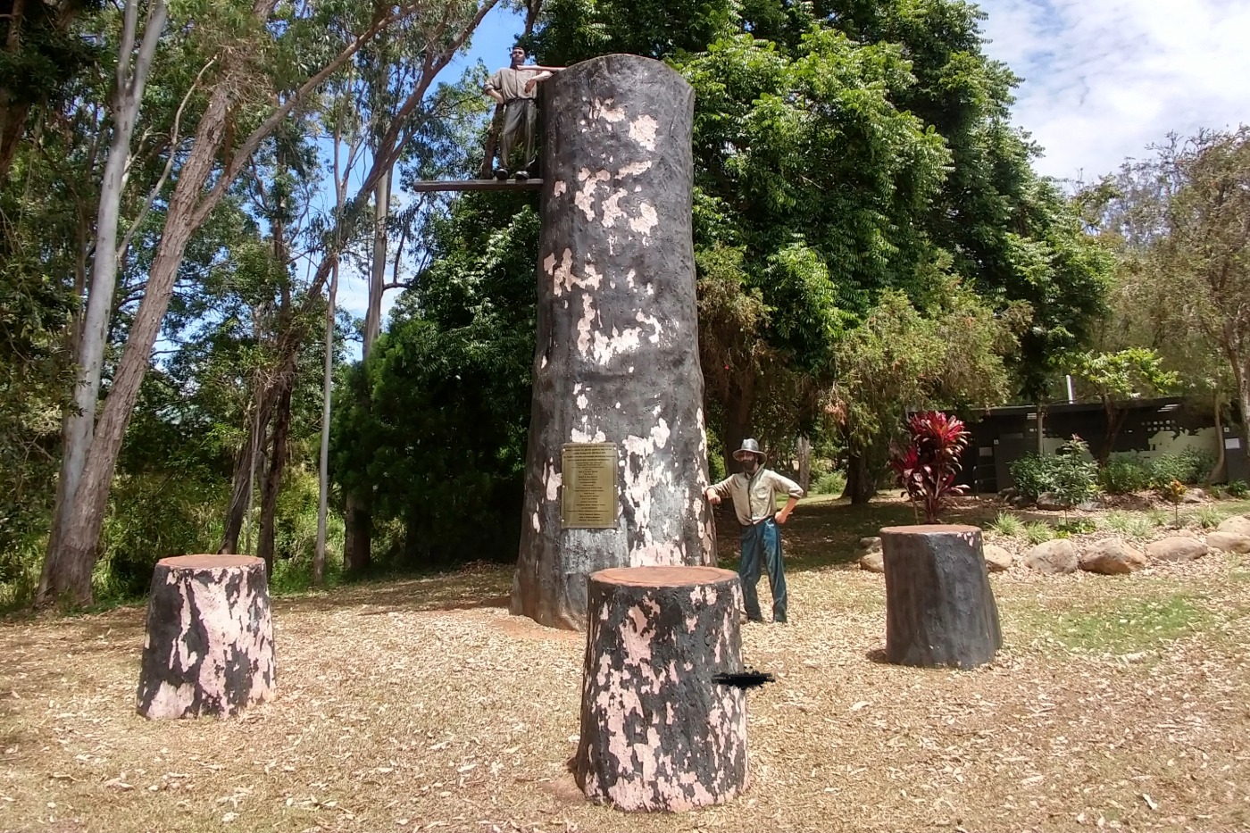 Logging industry tablelands