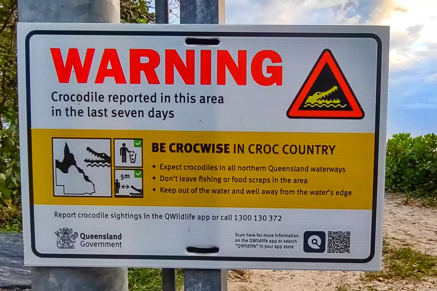 Crocodiles Cairns