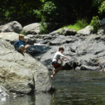 swimming cairns