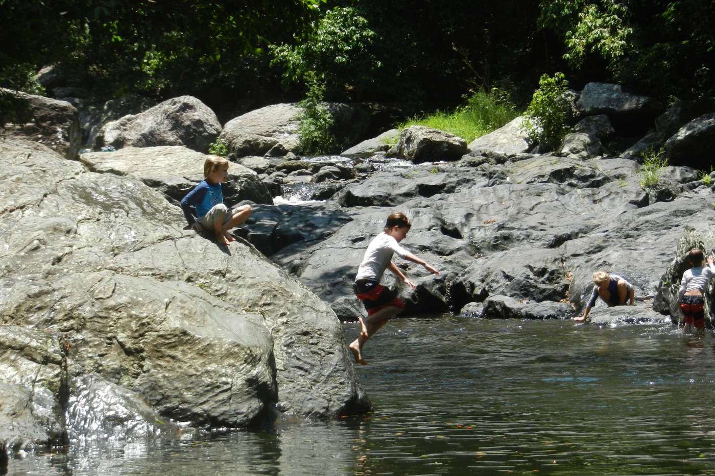 swimming cairns