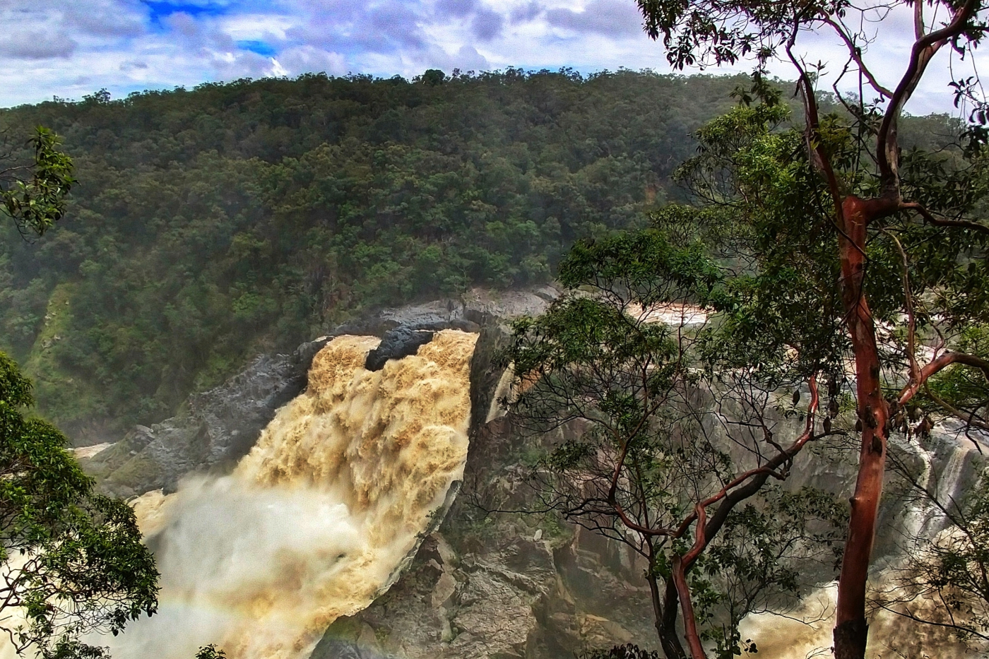 Barron River Falls tour