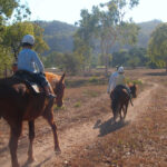 kids riding horses