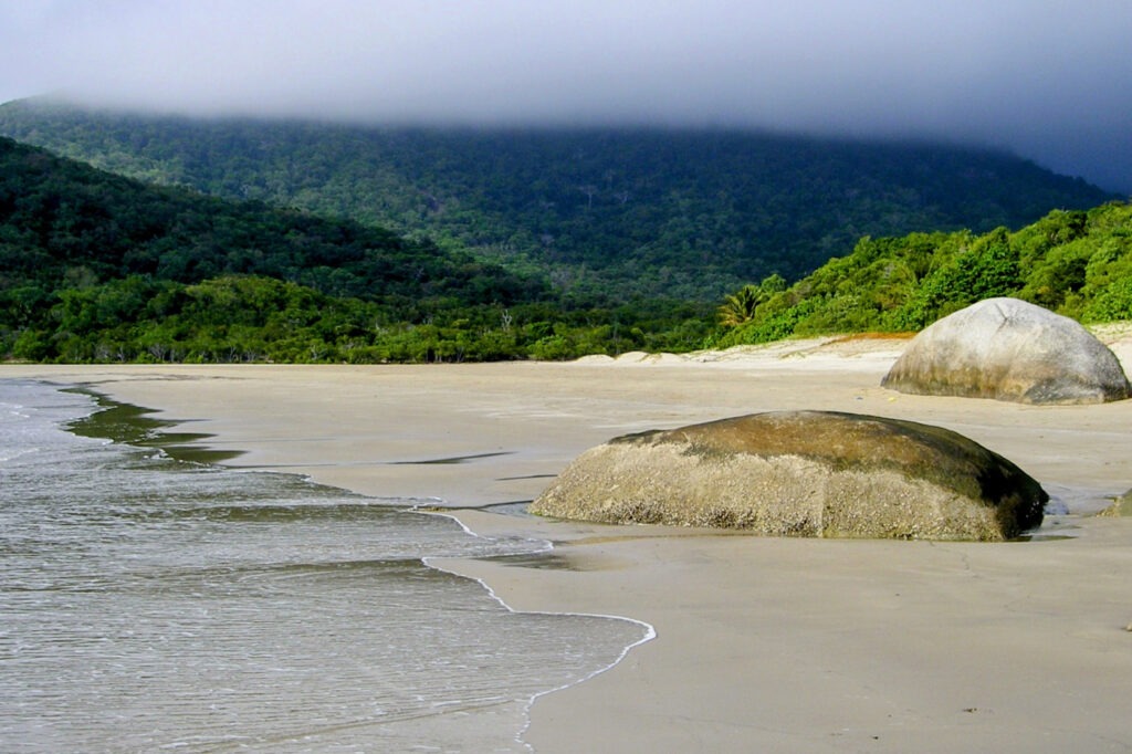 Finch Bay near Cooktown