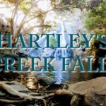 How To Visit Hartley's Creek Falls Hartley's Creek Falls Qld