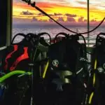 Cairns liveaboard dive trips