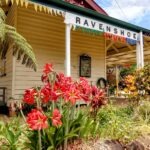 Ravenshoe